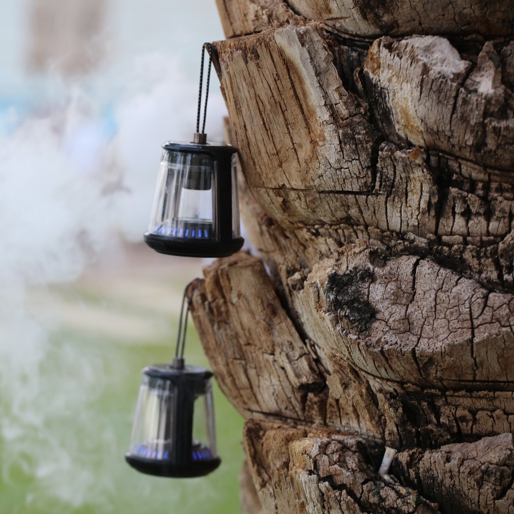 Meet your Posher, Jane